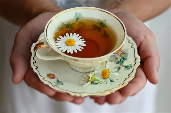 自然駆蜂方法を実践！コーヒー粉とエッセンシャルオイルでスズメバチを寄せ付けない方法