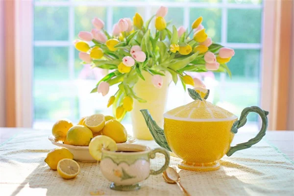 6月に必須！摘心で夏中花を咲かせる7つの花