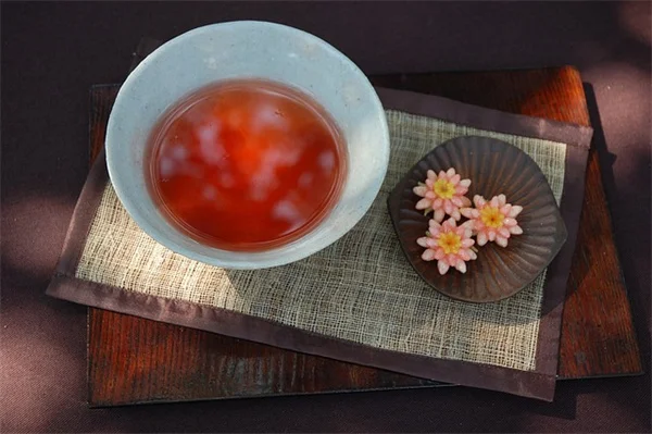 八月の挿し木で成功率を上げる5つのコツ 初心者向け半熟枝挿しガイド