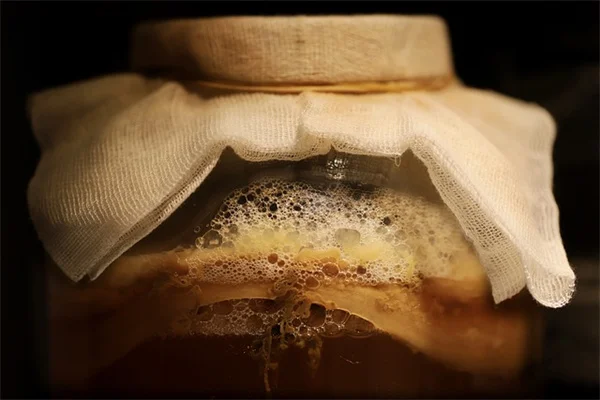 乾燥に強い庭で水やりが少なくて済む、花粉媒介者も喜ぶ簡単な作り方